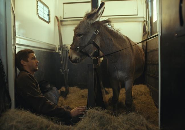 How (and where) to watch Oscar-nominated films online | iNFOnews.ca How (and where) to watch Oscar-nominated films online | iNFOnews.ca
