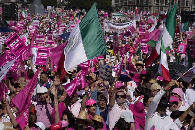 Mexican president disparages pro-democracy demonstrators | iNFOnews.ca