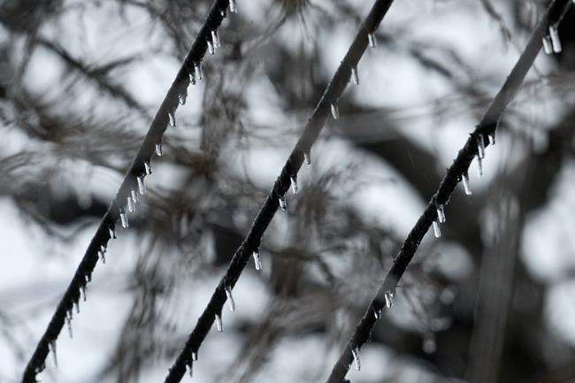 5 days later, some in Michigan still lack power | iNFOnews.ca