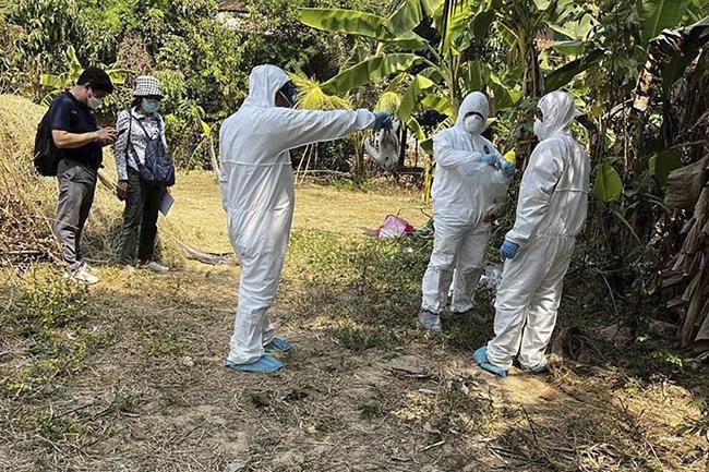 Cambodia says recent bird flu cases not spread by humans | iNFOnews.ca Cambodia says recent bird flu cases not spread by humans | iNFOnews.ca