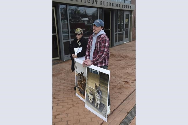 Hunter who killed pet dogs says he thought they were coyotes | iNFOnews.ca