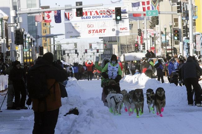 33 Iditarod sled dog race mushers to trek across Alaska | iNFOnews.ca