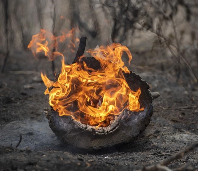 New Mexico lawmakers seek assurances amid prescribed burns | iNFOnews.ca CP1095877673