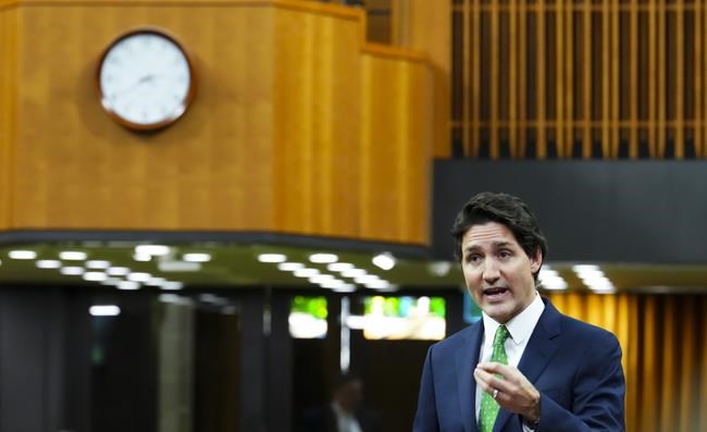 Canadians can experience several means of foreign interference: expert | iNFOnews.ca