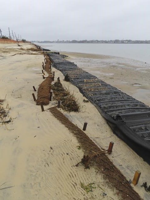 How coconuts protect the Jersey Shore, other eroding coasts | iNFOnews.ca