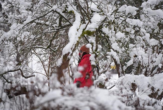 South B.C. highway passes see more snow, Avalanche Canada urges caution as storm hits | iNFOnews.ca