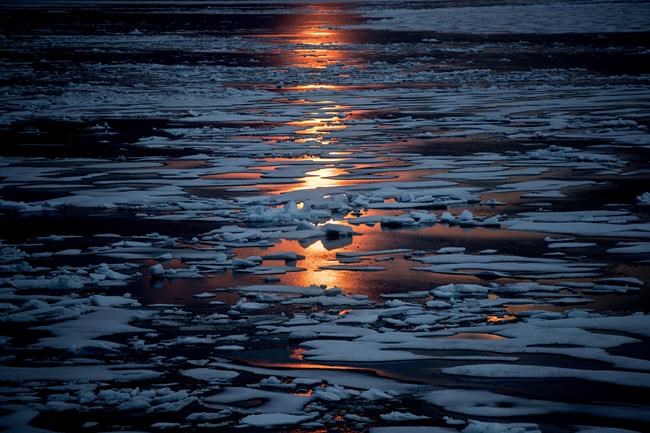 Arctic sea ice thins in 2 big jumps, and now more vulnerable | iNFOnews.ca