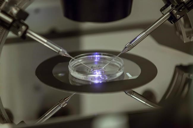 Some employer benefits cover egg freezing. Here's a breakdown of the costs | iNFOnews.ca Some employer benefits cover egg freezing. Here's a breakdown of the costs | iNFOnews.ca