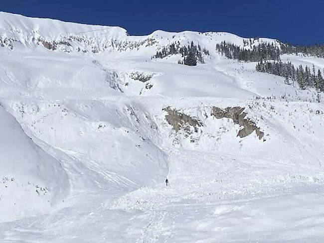 2 skiers killed in large late-winter avalanches in Colorado | iNFOnews.ca