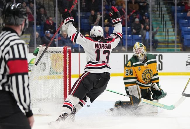Reds roll over Golden Bears 3-0 to net U Sports men's hockey title | iNFOnews.ca