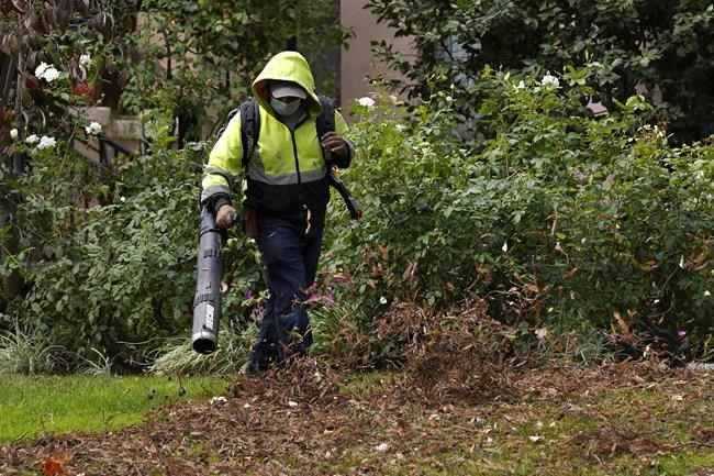 Itching to start spring garden cleanup? Not so fast! | iNFOnews.ca Itching to start spring garden cleanup? Not so fast! | iNFOnews.ca