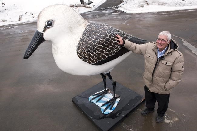 Piper down: Village in New Brunswick wants giant sandpiper returned to pedestal | iNFOnews.ca Piper down: Village in New Brunswick wants giant sandpiper returned to pedestal | iNFOnews.ca