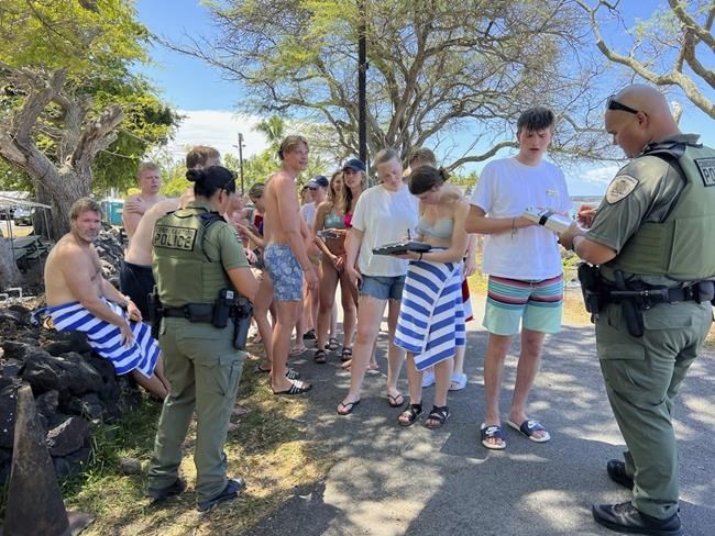 Hawaii authorities say 33 swimmers were harassing dolphins | iNFOnews.ca