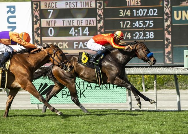 Judge pauses horse racing anti-doping rules for 30 days | iNFOnews.ca Judge pauses horse racing anti-doping rules for 30 days | iNFOnews.ca