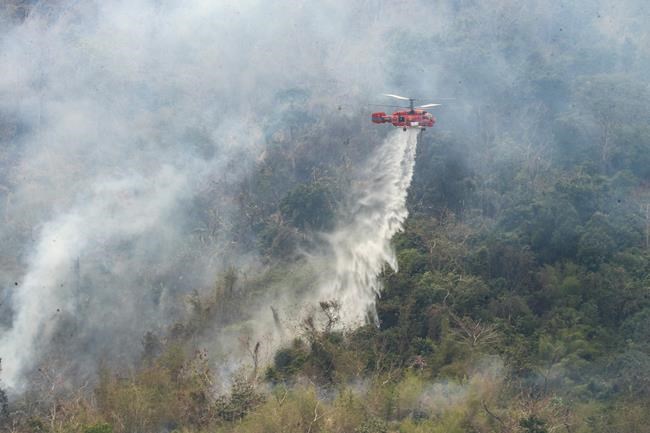 Thailand uses helicopters to fight mountain wildfires | iNFOnews.ca