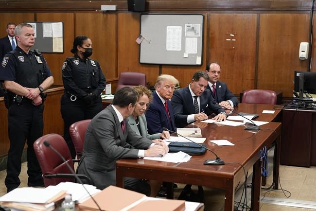 FACT FOCUS: Fake Trump mug shots spread in lieu of real one | iNFOnews.ca FACT FOCUS: Fake Trump mug shots spread in lieu of real one | iNFOnews.ca