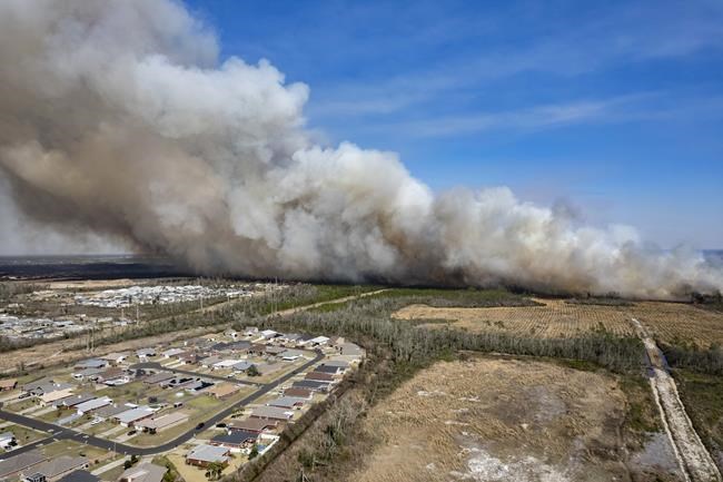 Wildfire threat grows as Florida drought gets steadily worse | iNFOnews.ca Wildfire threat grows as Florida drought gets steadily worse | iNFOnews.ca