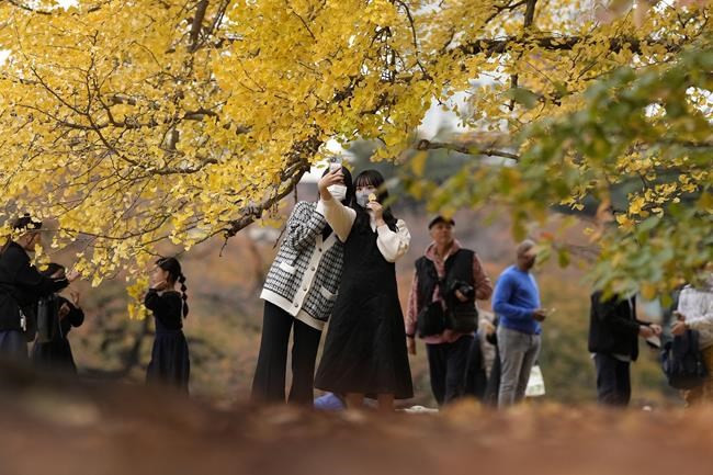 As summer heat looms, Japan urged to curb impact, emissions | iNFOnews.ca