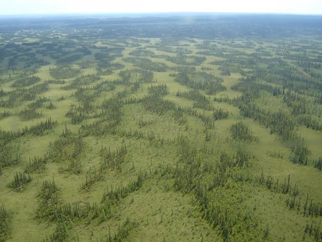 Alberta regulator reconsiders Fort Hills oilsands approval after critical report | iNFOnews.ca Alberta regulator reconsiders Fort Hills oilsands approval after critical report | iNFOnews.ca