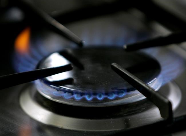 Court throws out Berkeley, California's ban on natural gas | iNFOnews.ca Court throws out Berkeley, California's ban on natural gas | iNFOnews.ca