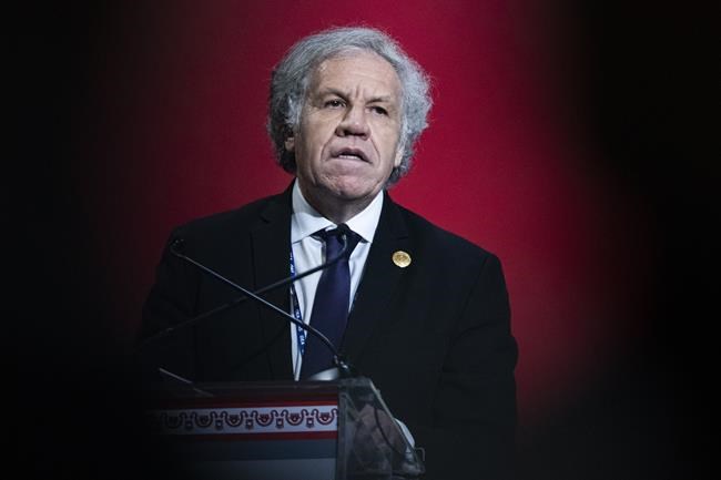 Probe faults OAS boss for work romance, finds no misconduct | iNFOnews.ca