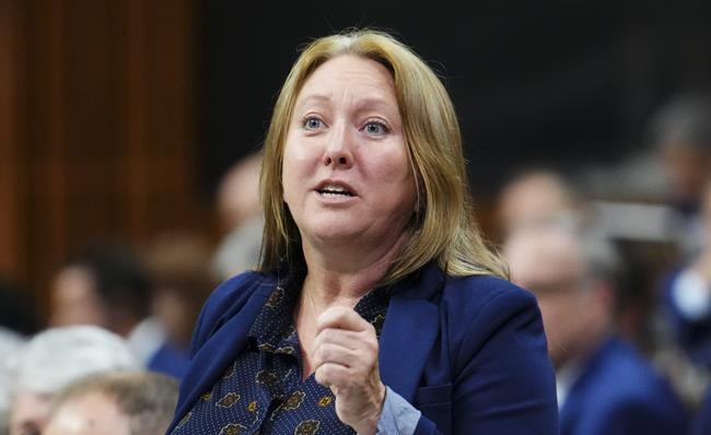 Liberal minister promises plan on Access to Information as MPs highlight woes | iNFOnews.ca Liberal minister promises plan on Access to Information as MPs highlight woes | iNFOnews.ca