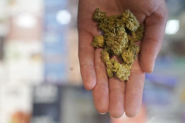 Part party, part call to action: A look at pot holiday 4/20 | iNFOnews.ca