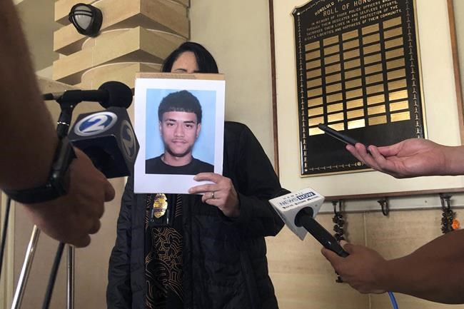Fatal Hawaii shooting shows dangers of popular cockfights | iNFOnews.ca Fatal Hawaii shooting shows dangers of popular cockfights | iNFOnews.ca