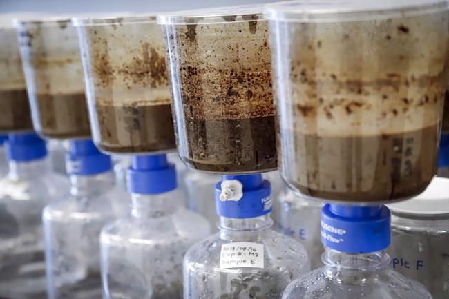 Head of Alberta Energy Regulator declines to say when province told of oilsands leak | iNFOnews.ca