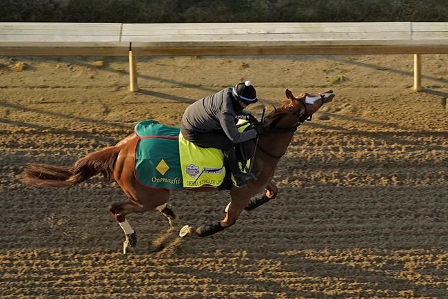 Horse racing poised for new antidoping, medication rules | iNFOnews.ca