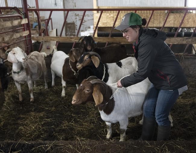 High costs putting farming out of reach for young people, affecting all Canadians | iNFOnews.ca