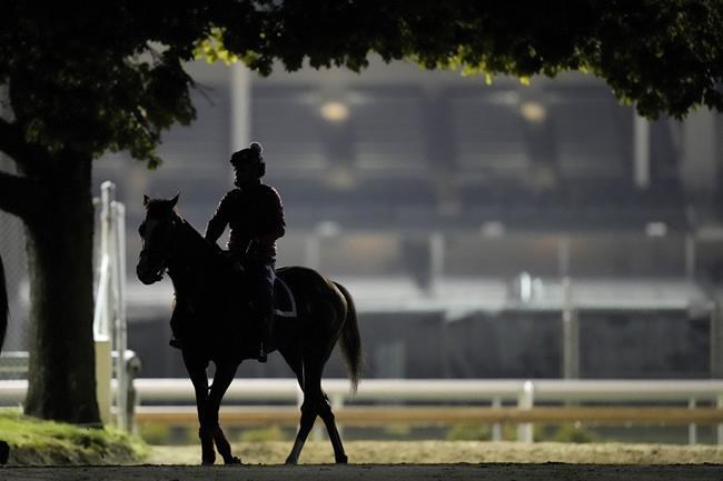 19 horses to tangle in wide-open 149th Kentucky Derby | iNFOnews.ca 19 horses to tangle in wide-open 149th Kentucky Derby | iNFOnews.ca