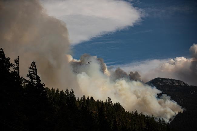 CP1131808497