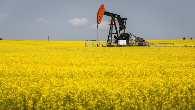 Canola industry concerned about export access to China after diplomatic spat | iNFOnews.ca Canola industry concerned about export access to China after diplomatic spat | iNFOnews.ca