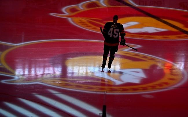 Celebrity bidding war for Ottawa Senators could be a boon for the franchise: experts | iNFOnews.ca Celebrity bidding war for Ottawa Senators could be a boon for the franchise: experts | iNFOnews.ca