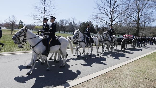 After Arlington National Cemetery horse deaths, Army makes changes to improve their care | iNFOnews.ca