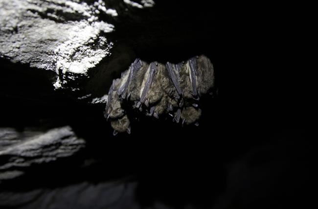 CP1116759473