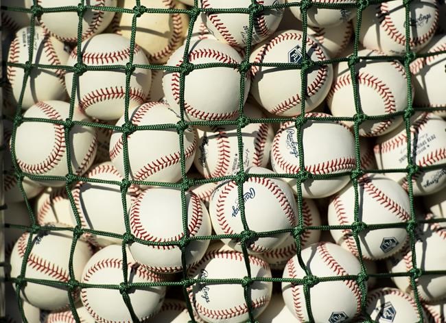 Former B.C. little league treasurer charged with fraud and theft | iNFOnews.ca
