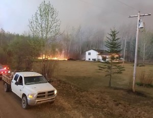 CP296187017