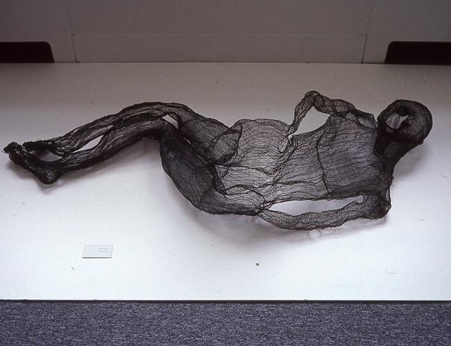 Nova Scotia artist believes wire sculptures were stolen from her property for copper | iNFOnews.ca