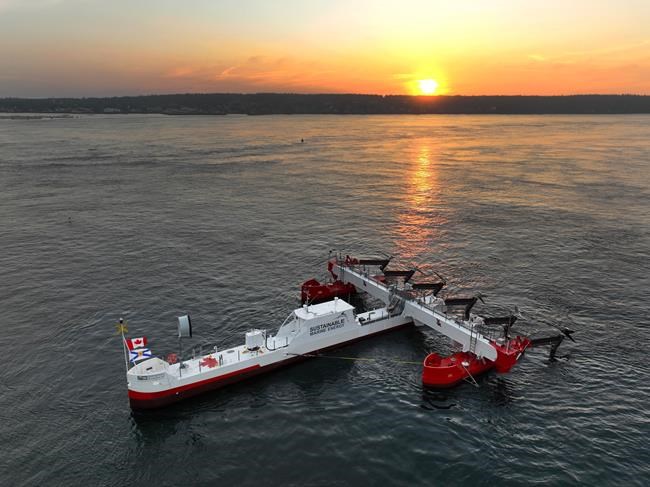 As tidal-power firms ebb, Fisheries minister strikes task force to clarify regulation | iNFOnews.ca As tidal-power firms ebb, Fisheries minister strikes task force to clarify regulation | iNFOnews.ca