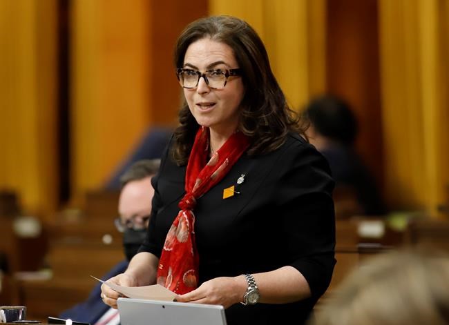 MPs debate how to challenge Israel's judicial reform and push for regional peace | iNFOnews.ca