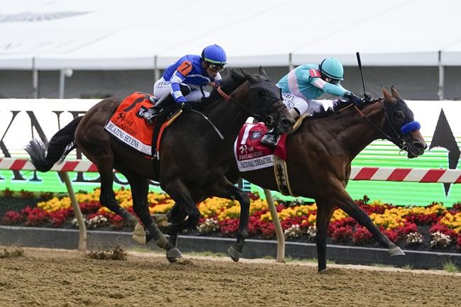 Baffert back from ban, wins Preakness with National Treasure after another horse euthanized | iNFOnews.ca Baffert back from ban, wins Preakness with National Treasure after another horse euthanized | iNFOnews.ca