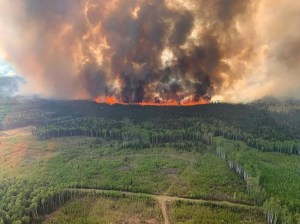 CP2137713411