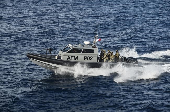 CP1146001588