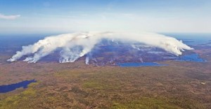 CP1173843162