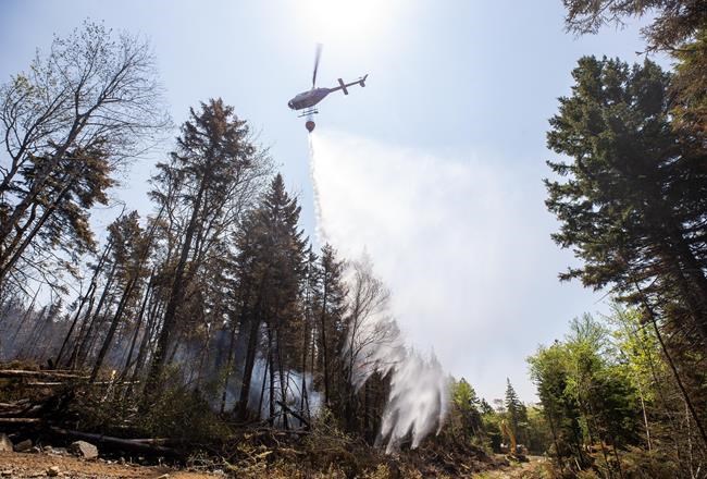 Halifax-area residents board buses to view dozens of homes destroyed by wildfires | iNFOnews.ca