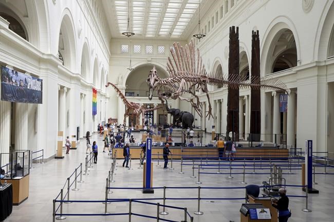 Field Museum debuts Spinosaurus exhibit featuring largest predatory dinosaur | iNFOnews.ca