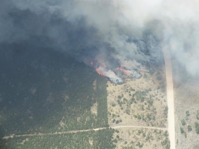 Michigan wildfire that's burned more than 3 square miles was sparked by campfire on private land | iNFOnews.ca