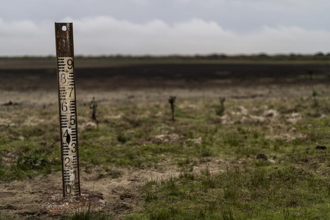 Amid row over 'drought berries,' German lawmakers cancel trip to southern Spain | iNFOnews.ca